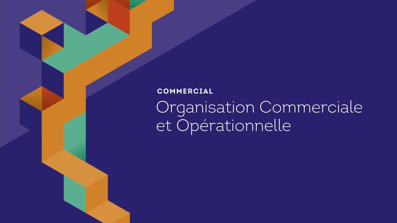 Organisation Commerciale et Opérationnelle
